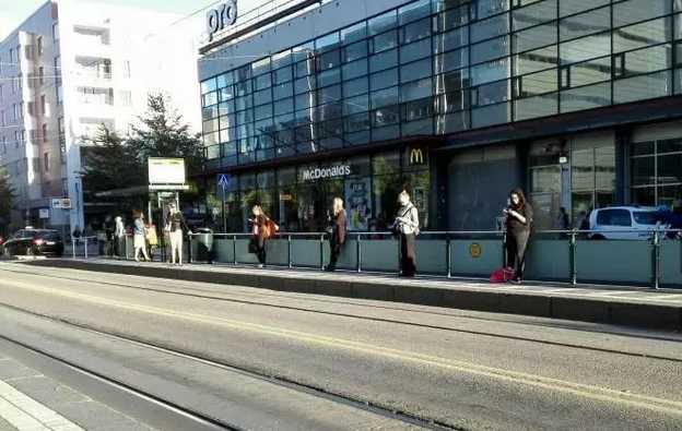 Finland: A Nation with Social Phobia?