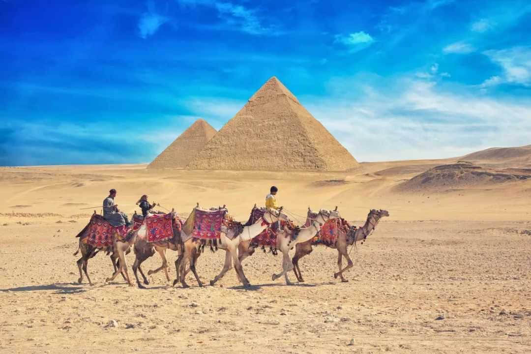 In Egypt, Adding Salt to Your Food Is a No - No